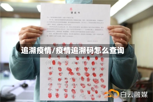 追溯疫情/疫情追溯码怎么查询-第3张图片