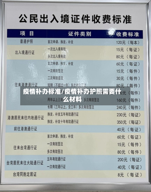 疫情补办标准/疫情补办护照需要什么材料-第2张图片