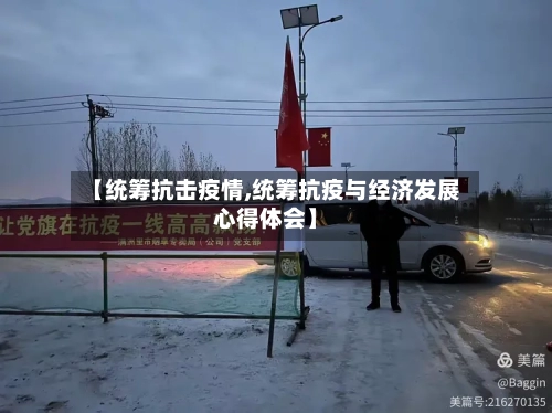 【统筹抗击疫情,统筹抗疫与经济发展心得体会】