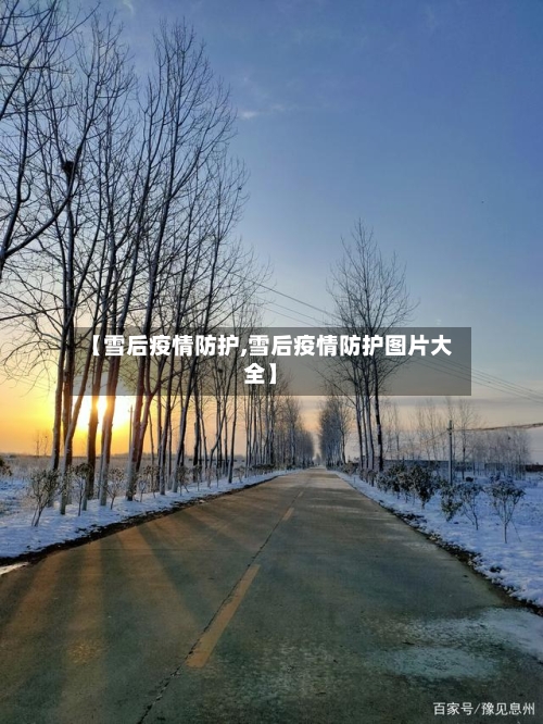 【雪后疫情防护,雪后疫情防护图片大全】