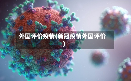 外国评价疫情(新冠疫情外国评价)-第3张图片