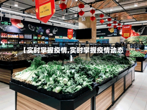 【实时掌握疫情,实时掌握疫情动态】-第2张图片