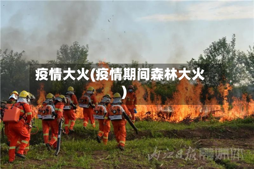 疫情大火(疫情期间森林大火)