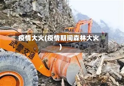 疫情大火(疫情期间森林大火)-第2张图片