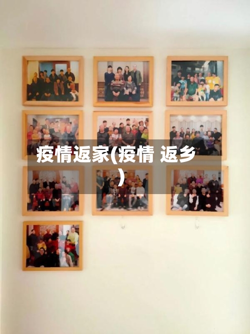疫情返家(疫情 返乡)