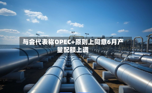 与会代表称OPEC+原则上同意6月产量配额上调