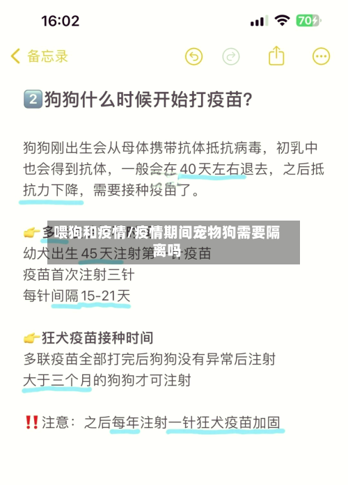 喂狗和疫情/疫情期间宠物狗需要隔离吗