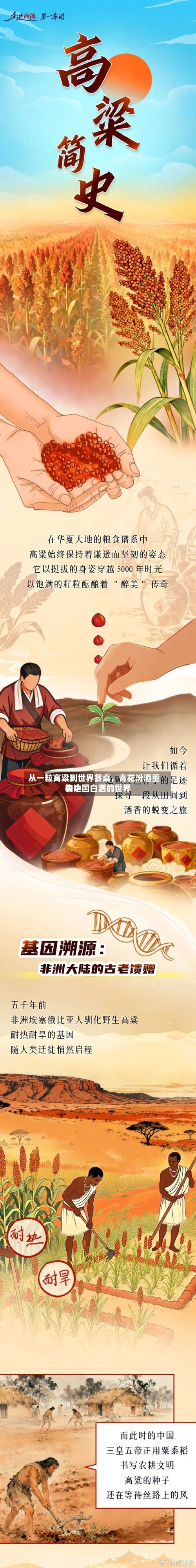 从一粒高粱到世界餐桌，青花汾酒重构中国白酒的世界表达