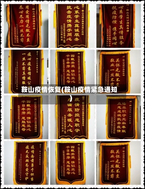 鞍山疫情恢复(鞍山疫情紧急通知)-第3张图片