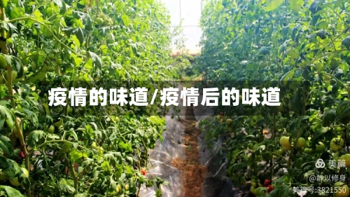 疫情的味道/疫情后的味道