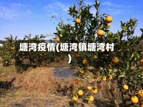 塘湾疫情(塘湾镇塘湾村)