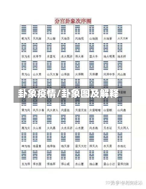 卦象疫情/卦象图及解释