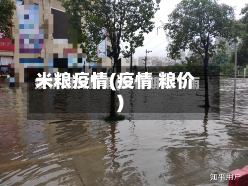 米粮疫情(疫情 粮价)