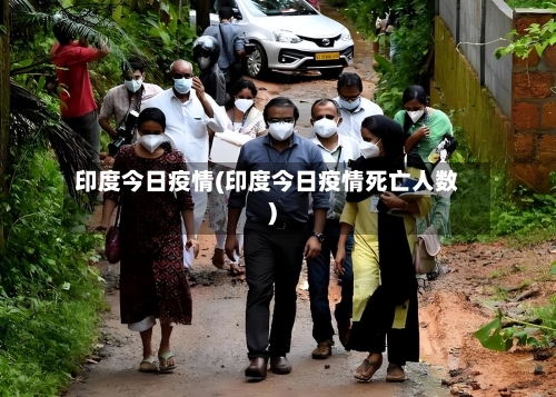 印度今日疫情(印度今日疫情死亡人数)-第2张图片