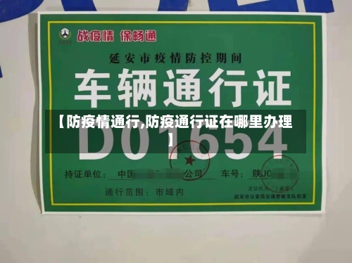 【防疫情通行,防疫通行证在哪里办理】-第3张图片