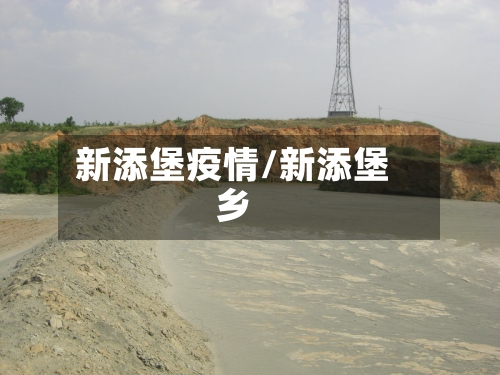 新添堡疫情/新添堡乡