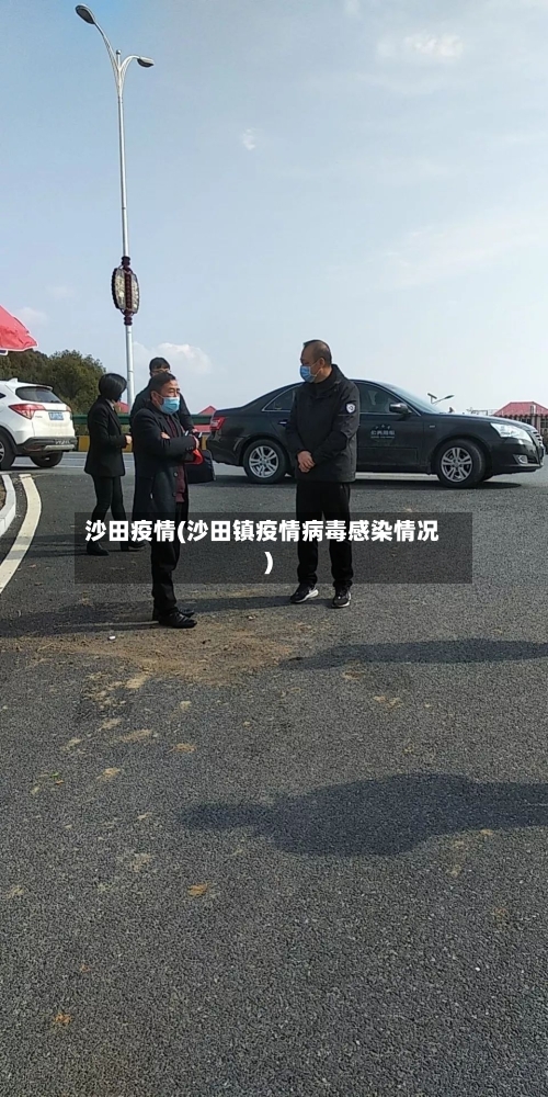 沙田疫情(沙田镇疫情病毒感染情况)