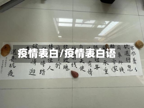 疫情表白/疫情表白语-第2张图片