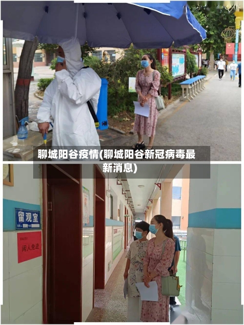 聊城阳谷疫情(聊城阳谷新冠病毒最新消息)
