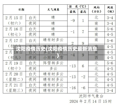 沈阳疫情历史(沈阳疫情历史最新消息)
