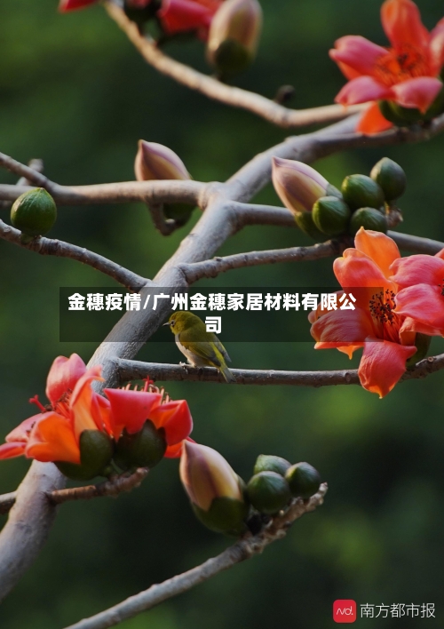 金穗疫情/广州金穗家居材料有限公司