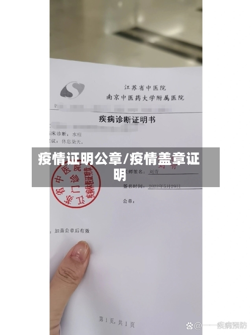 疫情证明公章/疫情盖章证明-第3张图片