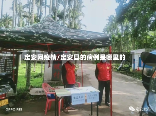 定安网疫情/定安县的病例是哪里的