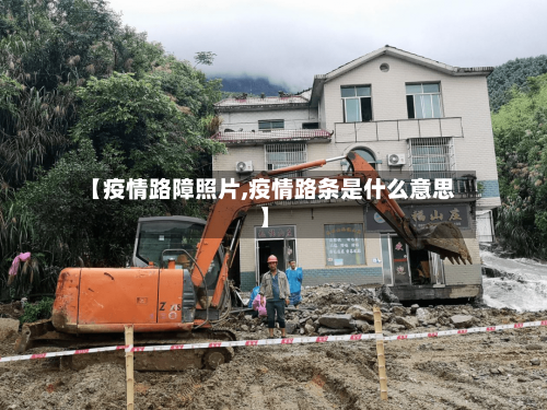 【疫情路障照片,疫情路条是什么意思】-第2张图片