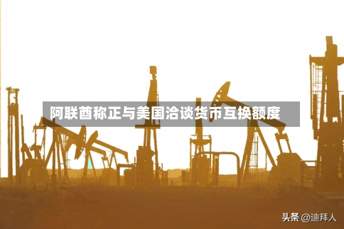 阿联酋称正与美国洽谈货币互换额度