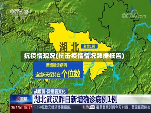 抗疫情现况(抗击疫情情况数据报告)