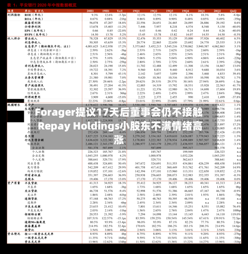 Forager提议17天后董事会仍不接触 Repay Holdings小股东不满情绪高涨-第2张图片