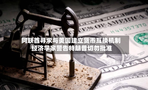 阿联酋寻求与美国建立货币互换机制 经济学家警告特朗普切勿批准