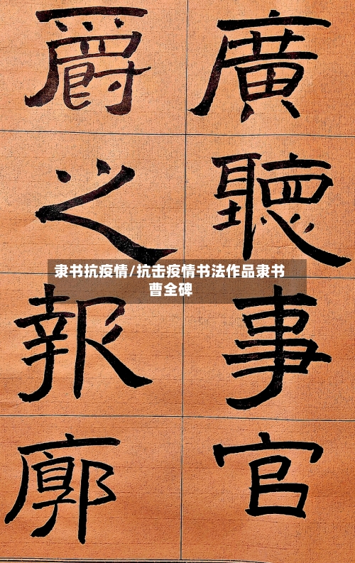 隶书抗疫情/抗击疫情书法作品隶书曹全碑