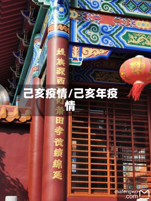己亥疫情/己亥年疫情
