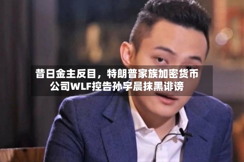 昔日金主反目，特朗普家族加密货币公司WLF控告孙宇晨抹黑诽谤-第2张图片