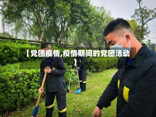 【党团疫情,疫情期间的党团活动】