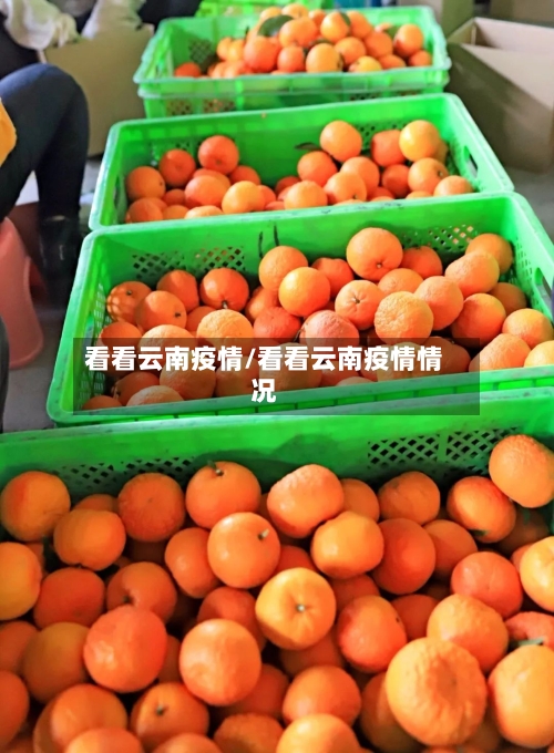 看看云南疫情/看看云南疫情情况