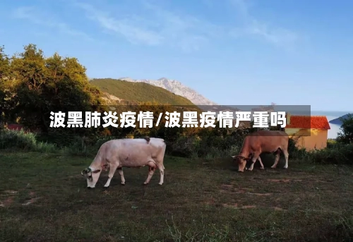 波黑肺炎疫情/波黑疫情严重吗