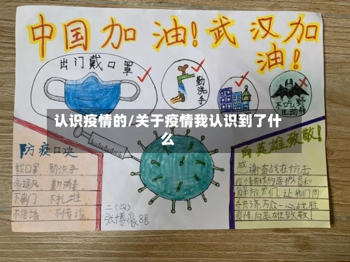 认识疫情的/关于疫情我认识到了什么