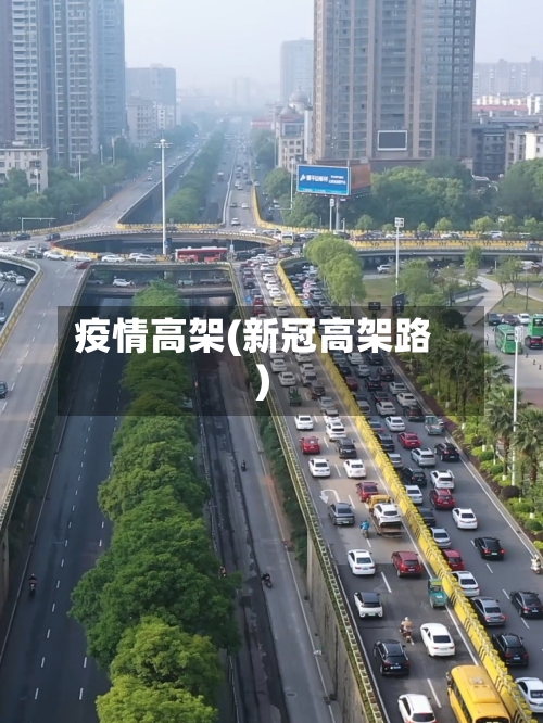 疫情高架(新冠高架路)