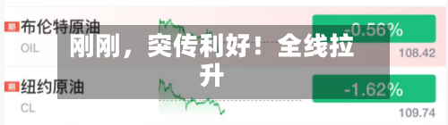 刚刚，突传利好！全线拉升-第2张图片