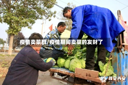 疫情卖菜群/疫情期间卖菜的发财了