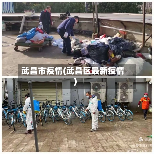 武昌市疫情(武昌区最新疫情)-第2张图片