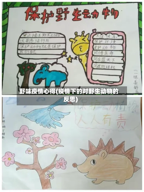 野味疫情心得(疫情下的对野生动物的反思)
