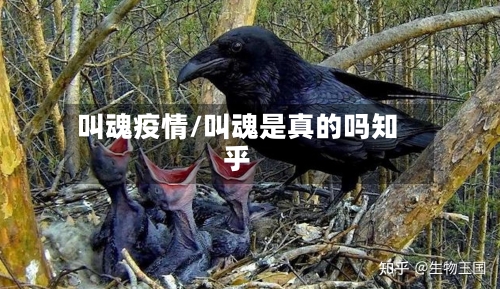 叫魂疫情/叫魂是真的吗知乎-第2张图片