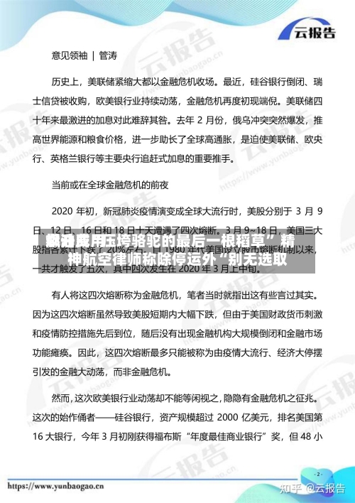 燃油费用飙升成“压垮骆驼的最后一根稻草” 精神航空律师称除停运外“别无选取”