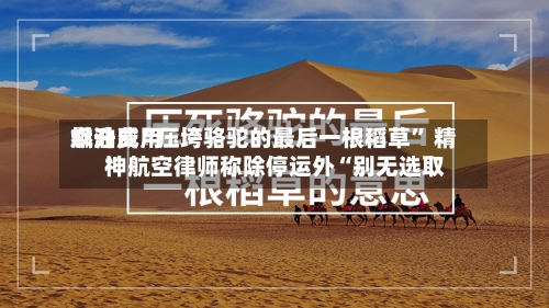 燃油费用飙升成“压垮骆驼的最后一根稻草” 精神航空律师称除停运外“别无选取”-第2张图片