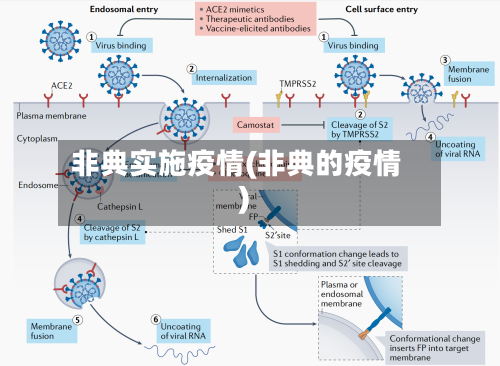 非典实施疫情(非典的疫情)