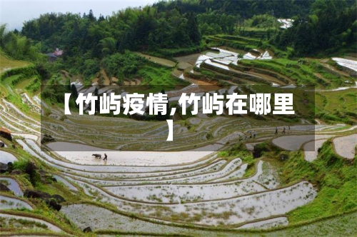 【竹屿疫情,竹屿在哪里】-第2张图片