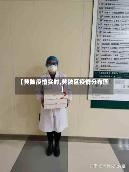【黄陂疫情实时,黄陂区疫情分布图】